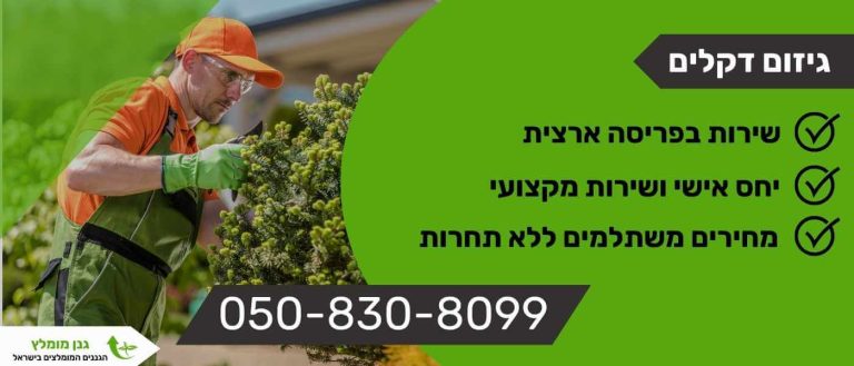 גיזום דקלים