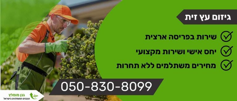 גיזום עץ זית