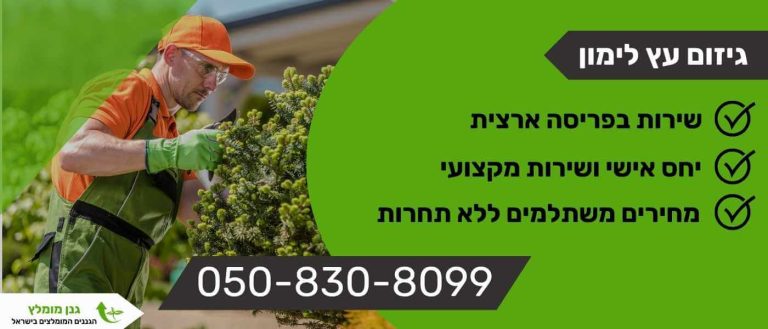 גיזום עץ לימון
