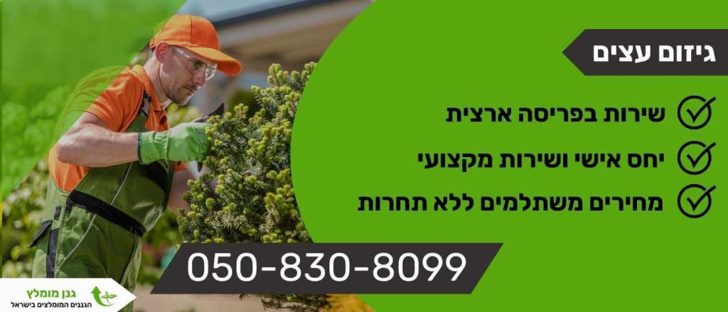 גיזום עצים