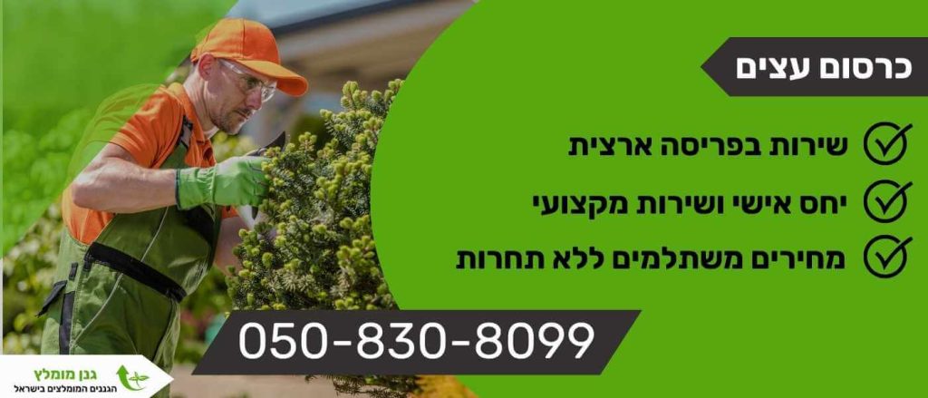 כרסום עצים