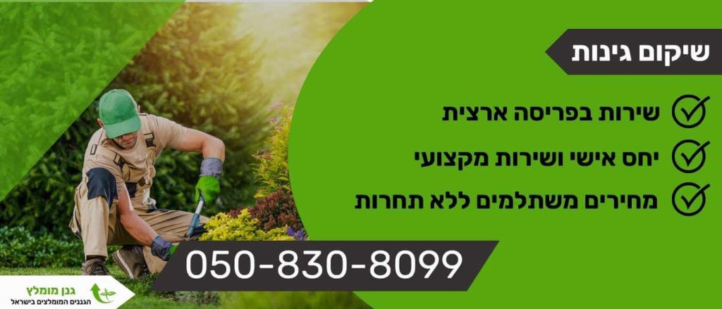 שיקום גינות