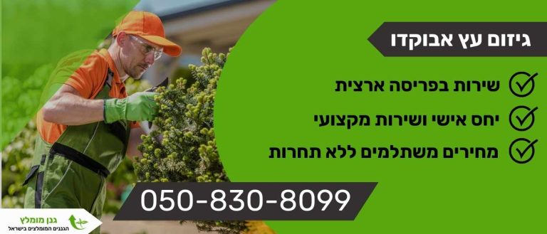 גיזום עץ אבוקדו
