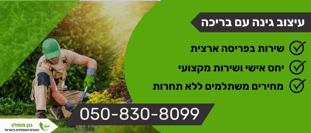 עיצוב גינה עם בריכה